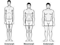 Mengenal Jenis Tubuh Ectomorph, Mesomorph, dan Endomorph: Tips Mendapatkan Tubuh Ideal Sesuai Genetik